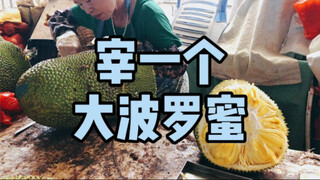 Membunuh nangka besar
