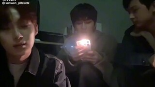 sunwon 👨🏻‍❤️‍👨🏻🐱🦊
