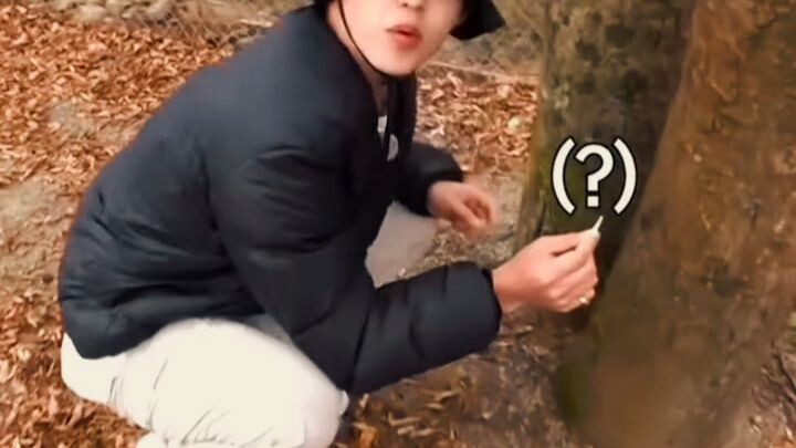 baby_coups🥰