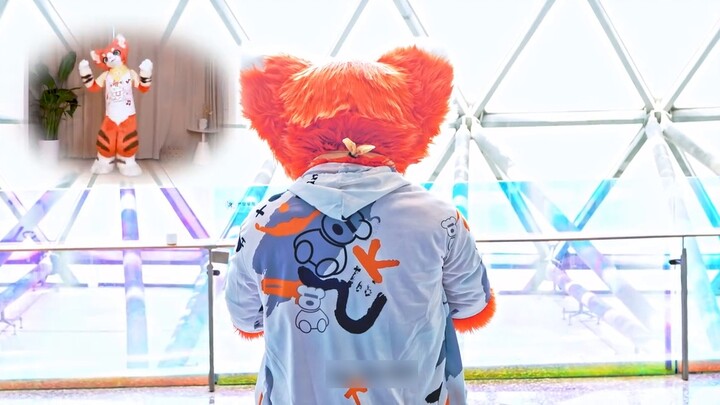 [Fursuit Dance] Memories of this Moment by Rui Shou | BDF 10th Anniversary Dance Music, it’s so fun 