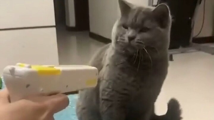 “Forget it, no point getting mad! I’m the one who’s been eating his food anyway.”