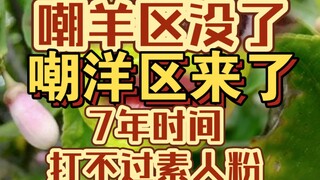 23 عامًا من الترفيه المحلي Ziweixing، لا يمكن أن يكون مواطنًا على الإنترنت