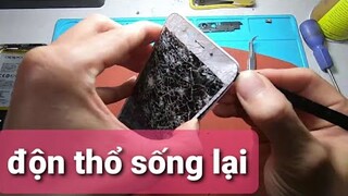 thử khôi phục lại điện thoại bị oto cán nát