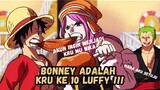 Bonney Akan Menjadi Kru Ke 10 Luffy !!!
