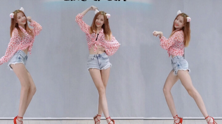 [Rainbow Xiaoya] Sexy Kitty AOA "Like a Cat" Cover