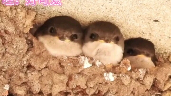 I can't afford to offend you. I can't afford to offend you at all.