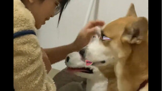 狗子：嫉妒使我面目全非