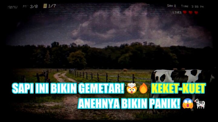 Kejadian Jumpscare Sapi Berwajah Aneh
