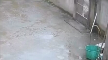 รถของพี่ชายไม่ใช่รถที่คนทั่วไปจะขับได้หรอก