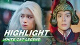 Highlight EP21-26:"We Used to be the Best Friends" | White Cat Legend | 大理寺少卿游 | iQIYI
