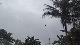 indahnya pemandangan