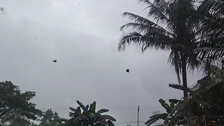 indahnya pemandangan