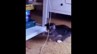 ขำ