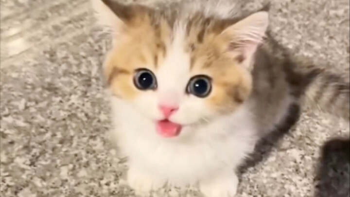 ของมีจำนวนจำกัด รีบหน่อยนะ!