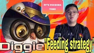 FEEDING STRATEGY DOES STILL WORK?