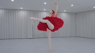 【تقدير الباليه】باكيتا