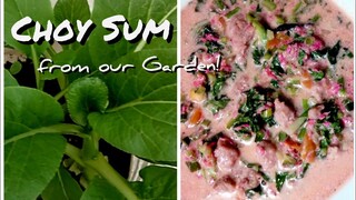 Creamy Pork with Choy Sum  | From Our Garden to the Kitchen | Freestyle Cooking | Met's Kitchen