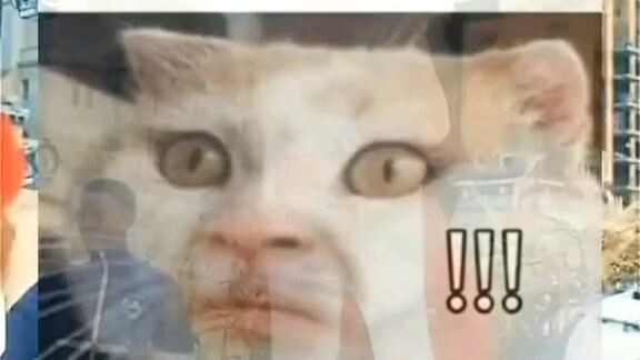 HS lúc đó kiểu: Chết r nên đưa j cho cô đây 🤣🤣