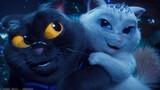 The Trouble of a Black Cat, this is the cutest cat movie I’ve seen in 2022