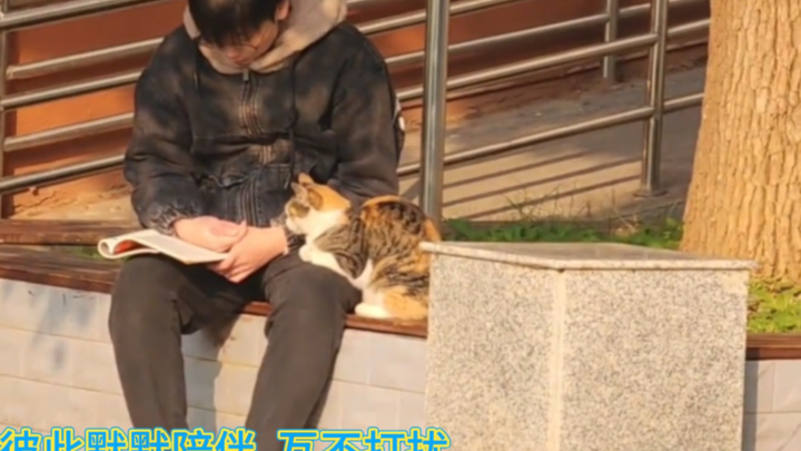 The cutest people meet the cutest cats — the world may be falling apart, but the little cat mends it
