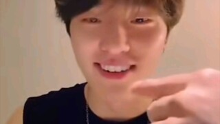 【DINO李灿】李dino帕布啊帕布