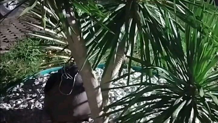 Tula para sa kuripot