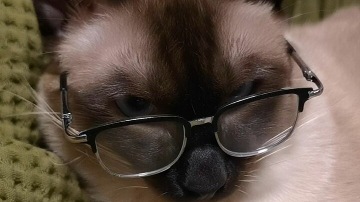 ผู้นำ… ขอคำแนะนำด้วยค่ะ/ครับ