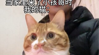 เอ้กโรล: มาดูกันว่าเกิดอะไรขึ้น