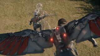 Falcon: The captain must not know about this.