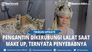 Pengantin di Solo Dikerubungi Lalat saat Make Up, Terungkap Penyebab Sebenarnya