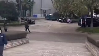 同学 能给我玩玩么~