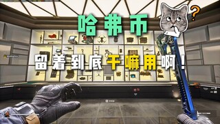 正经说游戏丨但凡染上《三角洲行动》很难有不爱囤的