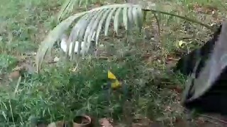 pobreng M.cored area