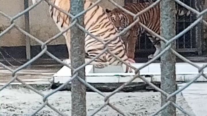 National Zoo