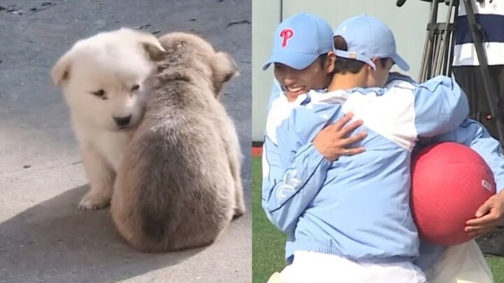 [Quishuo] I’ve already said Paw Patrol has two real puppies! ૮₍ ˊ ᵔ ˋ₎ⴰ૮₍ ˊᯅˋ₎ⴰ