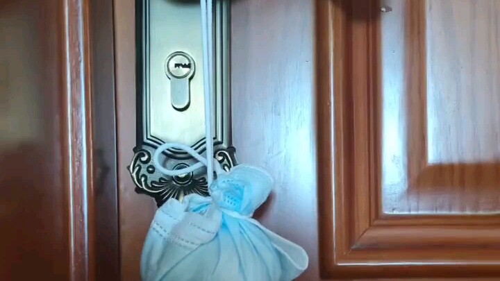 The Ultimate Mosquito Repellent: Swift Wind Mosquito Zapper