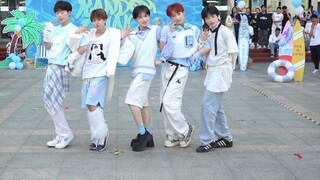 Five small sea salt cheesecakes ~ all-boys roadshow Magnetic ~ so cute!