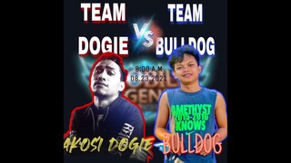 TEAM Nl DOGIE VS TEAM NI BULLDOG | BANE JS STRAT!