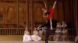 【Dance】Ballerinas | Don Quijote