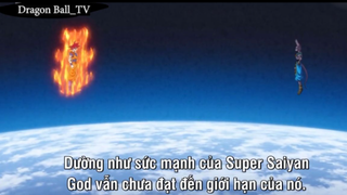 Không thể được #Dragon Ball_TV