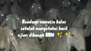 keadaan satwa liar setelah mengetahui??