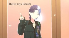 ヘイヴン/ Haven (Touya/ Toya fancam, 冬弥推しカメラ) Happy Birthday Toya 2025 virtual live