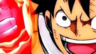 monkey D luffy