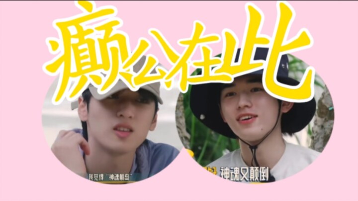 ذهب إلهي! جعلني أضحك بلا سبب مليار مرة!