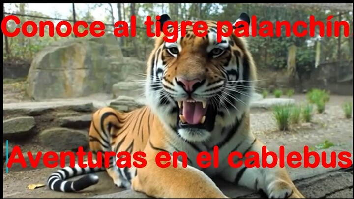 teleferico de chapultepec , león meón y tigre simpatico