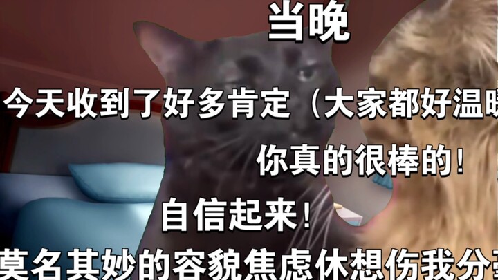 【Cat meme】Playing cosplay cured my appearance anxiety