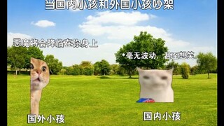 猫meme：当外内小孩和外国小孩吵架