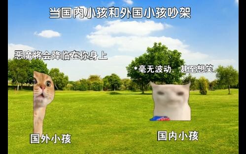 猫meme：当外内小孩和外国小孩吵架