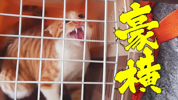 ส้มขาวเกิดภาวะเครียดจนติดอยู่ที่ราวหินชั้น 17 แต่หลังจากได้รับการช่วยเหลือกลับแสดงพฤติกรรมที่หยิ่งทะ