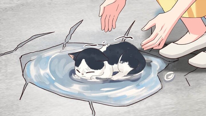 Konon katanya, kalau kucing tak bisa bertahan hidup, mereka akan mencari genangan air, berbaring di 